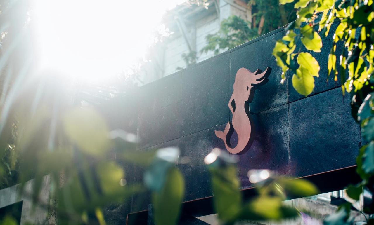 Arthouse Art Residences Tulum Zewnętrze zdjęcie